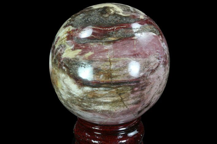 Colorful Petrified Wood Sphere - Madagascar #92994